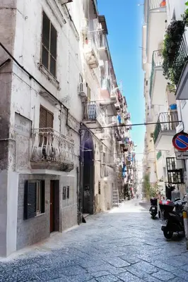 Il quartiere o una zona nella vicinanze della casa vacanze