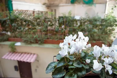 Giardino di FV STUDIOS Chiaia