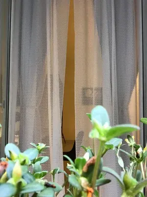 Planimetria di Casa90 Room in Naples
