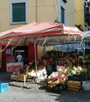Planimetria di 