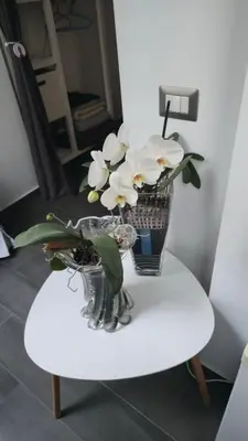Planimetria di Geko Suite Toledo