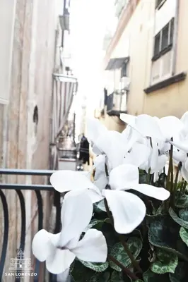 Balcone o terrazza di San Lorenzo's home