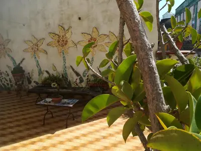 Giardino di napoli centro spaccanapoli