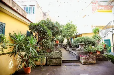 Giardino di La casa di Zucca sopra piazza Plebiscito!