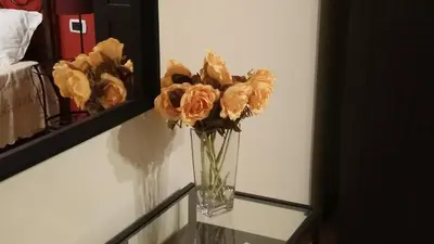 Planimetria di Domus Mea Apartment