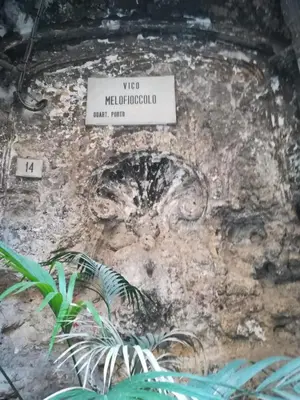 Certificato, attestato, insegna o altro documento esposto da L'arco e il vico