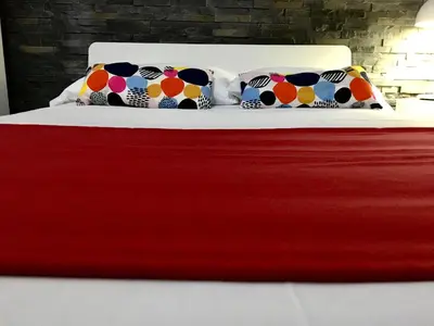 Letto o letti in una camera di FRANZ GUEST HOUSE