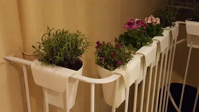 Planimetria di Gennarino's Home