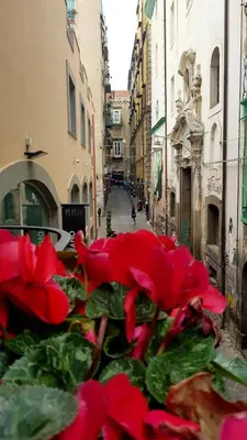 Il quartiere o una zona nella vicinanze dell'appartamento