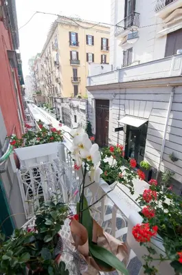 Edificio in cui si trova l'affittacamere