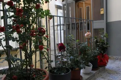 Planimetria di Speranzella 86