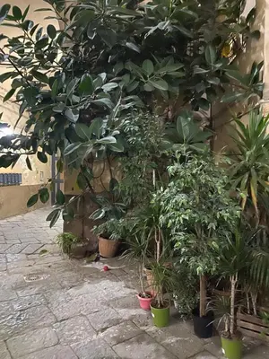 Giardino di The paradise house