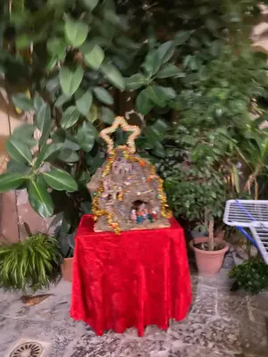 Giardino di The paradise house