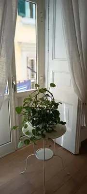 Planimetria di Casa Laura Oliva Mancini