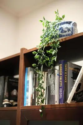 Biblioteca nel bed & breakfast