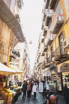 Il quartiere o una zona nella vicinanze della casa vacanze