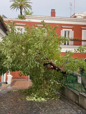 Edificio in cui si trova l'affittacamere