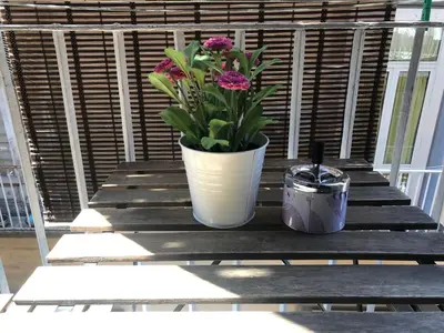 Balcone o terrazza di San Gennaro in porta