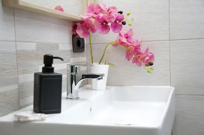 Bagno di Spicoli 86