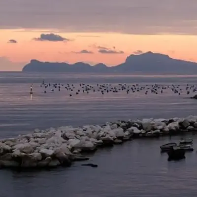 Terrazze del Lungomare