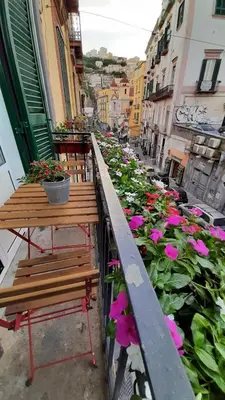 Balcone o terrazza di Palazzetto di Neubourg