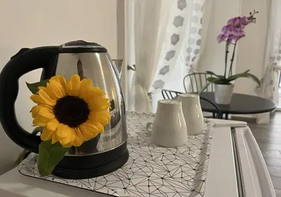 Planimetria di NAPOLI VIBES Rooms