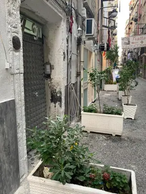 Edificio in cui si trova l'appartamento