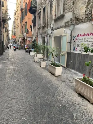 Il quartiere o una zona nella vicinanze dell'appartamento