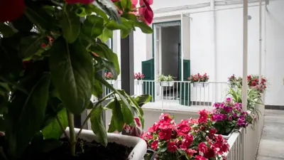 Giardino di TOLEDO CLASS