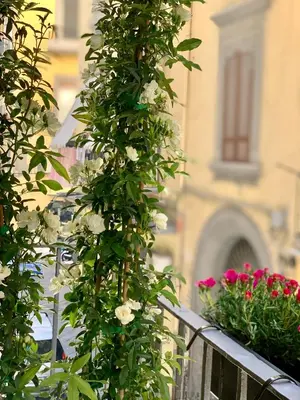 Giardino di Toledo Boutique Rooms