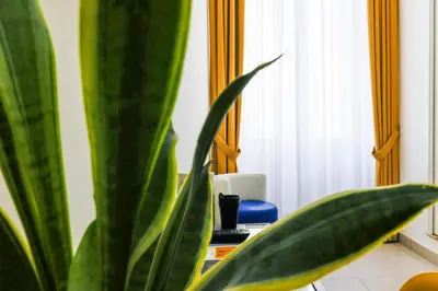Planimetria di V10 GUEST HOUSE - Vanvitelli 10