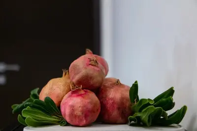 Cibo presso l'appartamento o nelle vicinanze