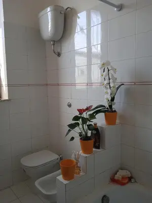 Bagno di Viromar