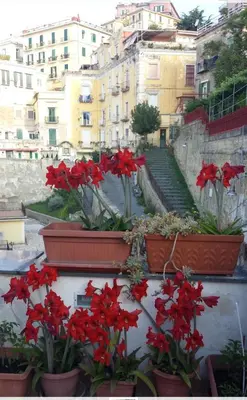 Edificio in cui si trova la casa vacanze