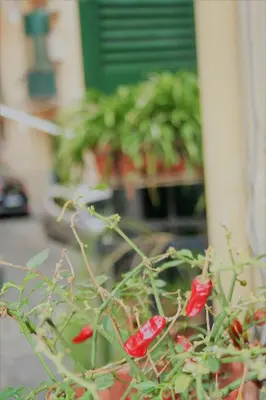 Giardino di Casa Maria