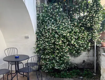 Giardino di Il regno delle due Sicilie e Il Regno di Napoli