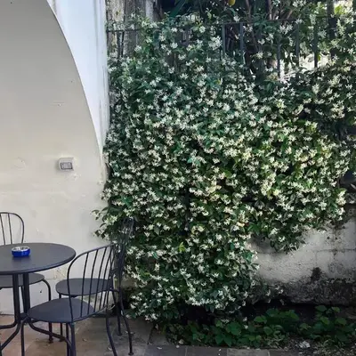 Il regno delle due Sicilie e Il Regno di Napoli