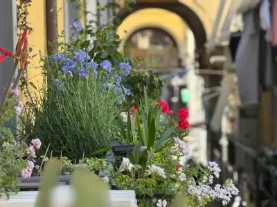 Giardino di Don Pietro 1927