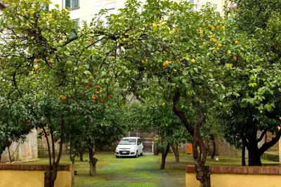 Giardino di Palazzo Sant'Antonio