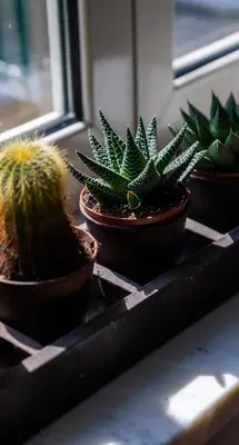 Planimetria di Casa Sofia Apt