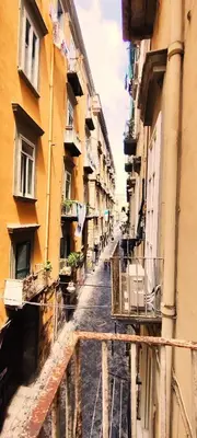 Il quartiere o una zona nella vicinanze dell'appartamento