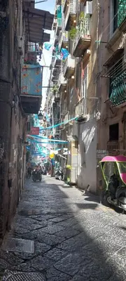 Il quartiere o una zona nella vicinanze della casa vacanze